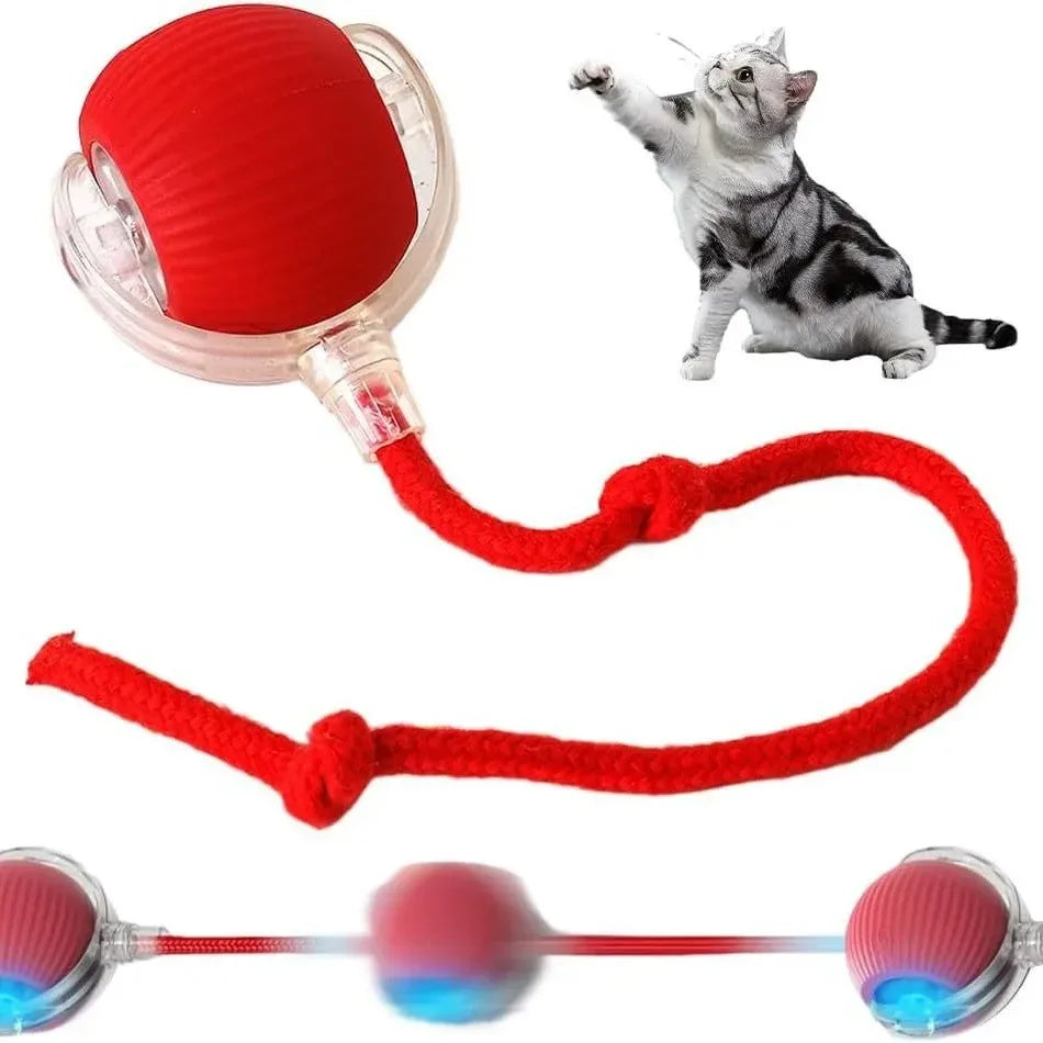 Rolling Ball Cat Toy