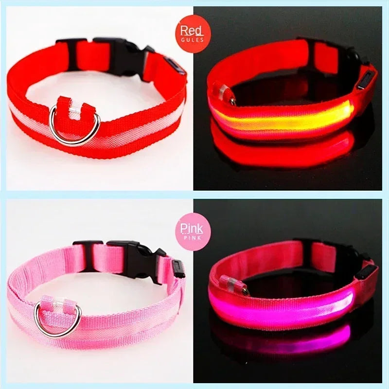 Glowing Safety Dog Collar