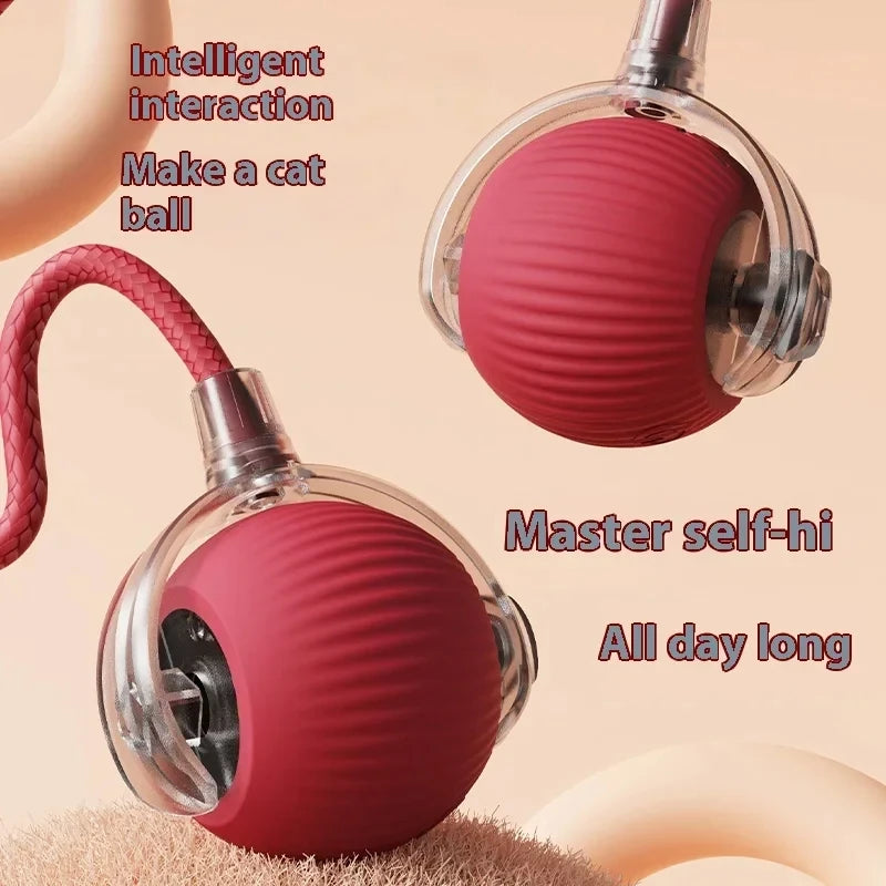 Rolling Ball Cat Toy