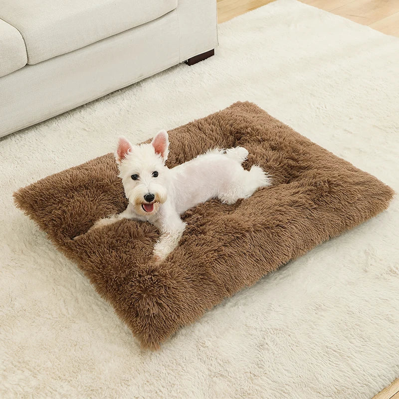 Plush Pillow Pet Bed
