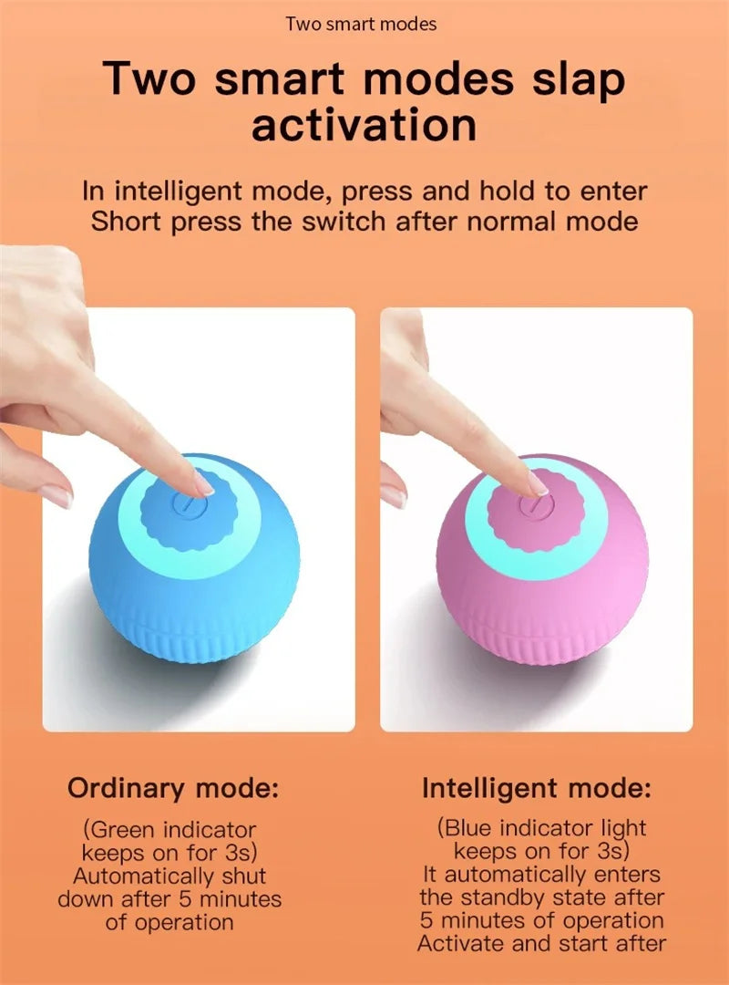 Interactive Ball Cat Toy
