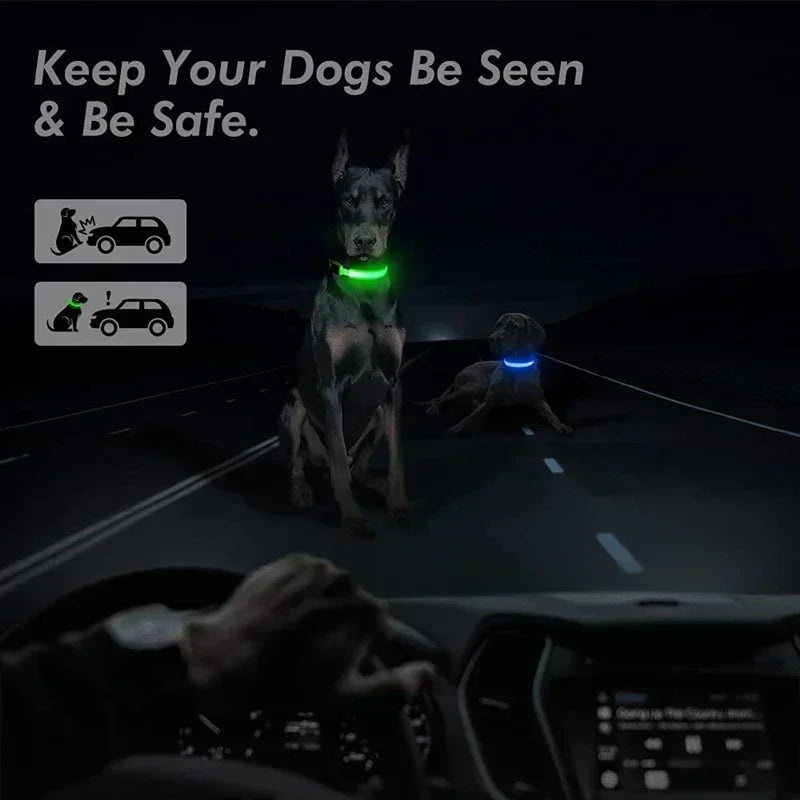 Glowing Safety Dog Collar