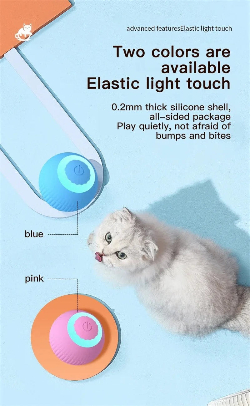Interactive Ball Cat Toy