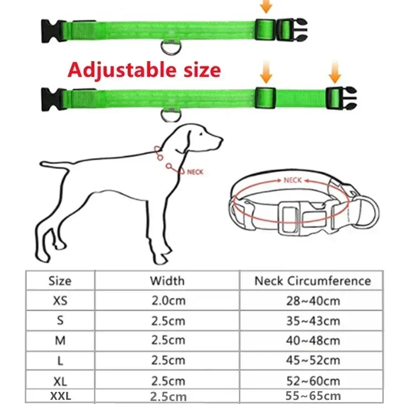 Glowing Safety Dog Collar
