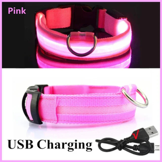 Glowing Safety Dog Collar