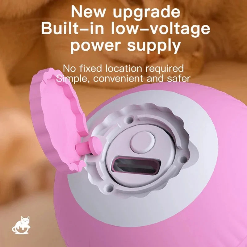Interactive Ball Cat Toy