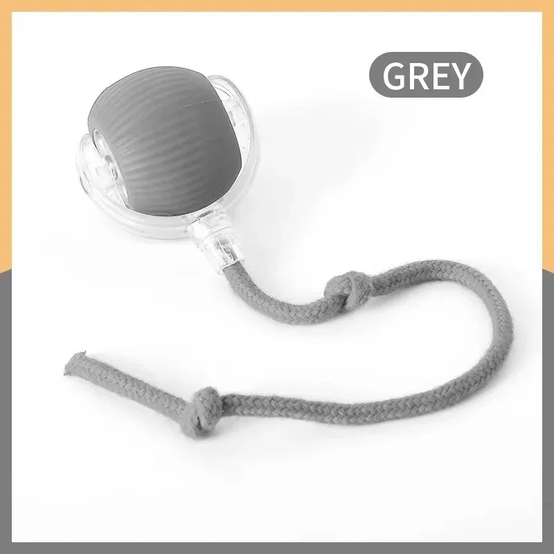 Rolling Ball Cat Toy
