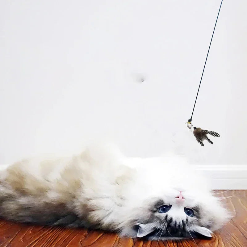 Feather Cat Teaser Wand
