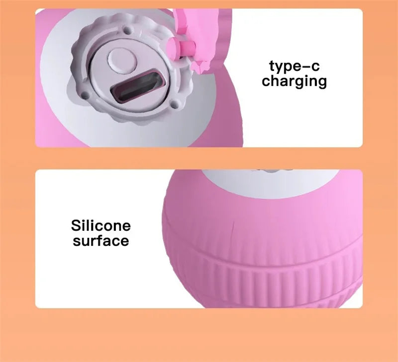 Interactive Ball Cat Toy