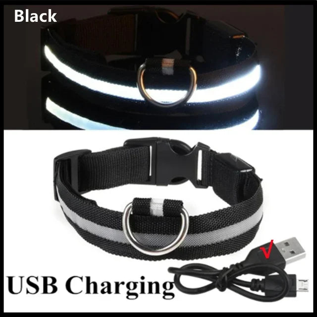Glowing Safety Dog Collar