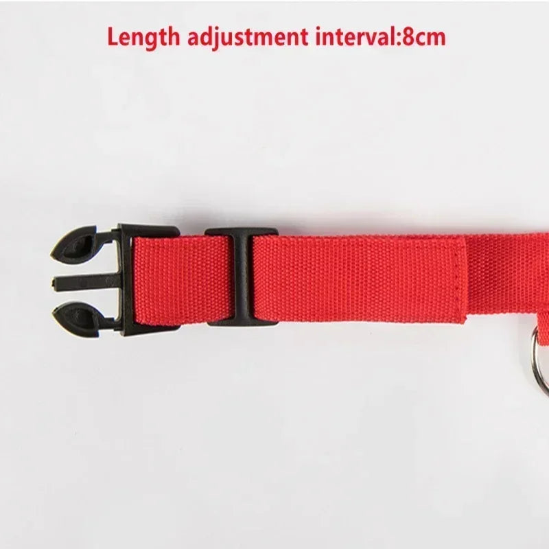 Glowing Safety Dog Collar