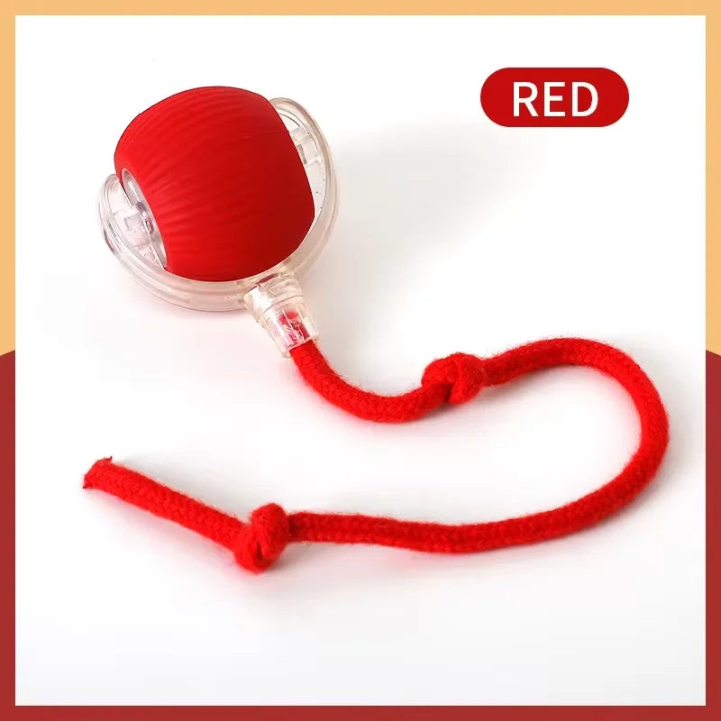 Rolling Ball Cat Toy
