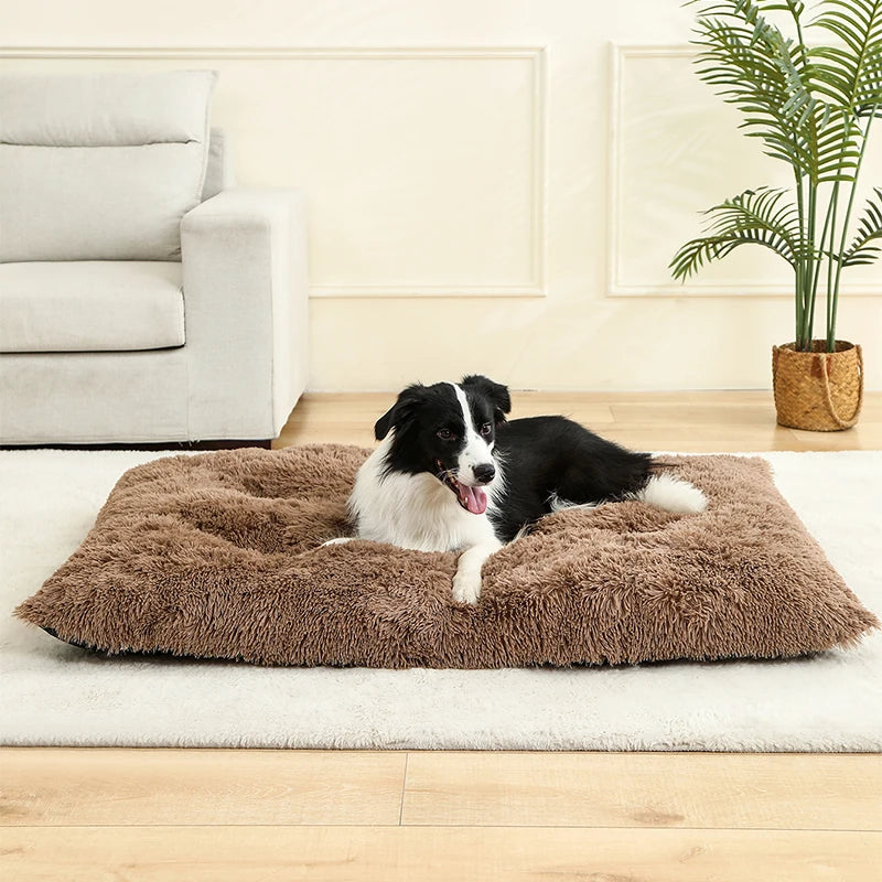 Plush Pillow Pet Bed