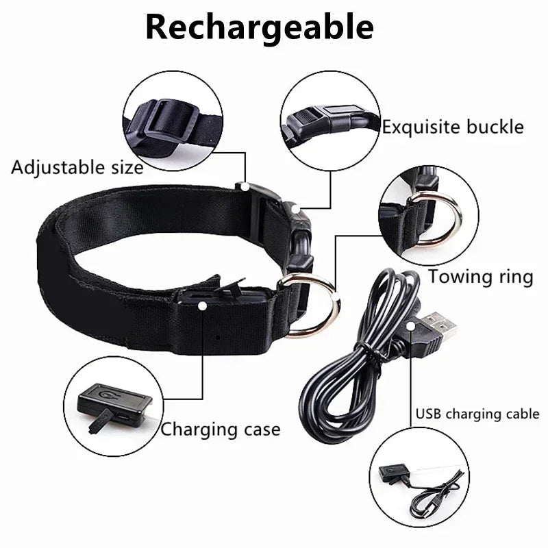 Glowing Safety Dog Collar
